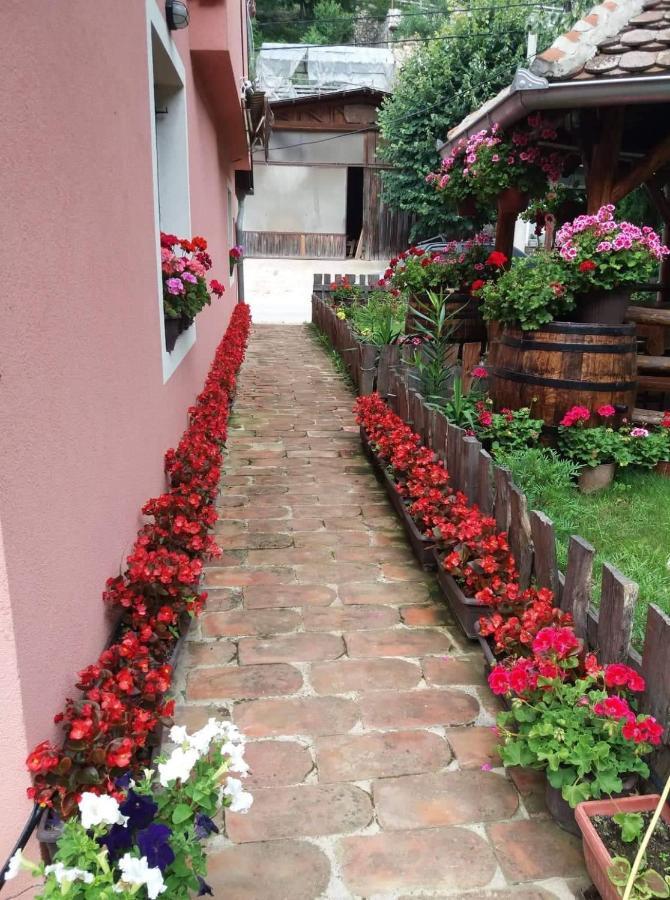 Valja Mare Moma Apartment Golubac Luaran gambar